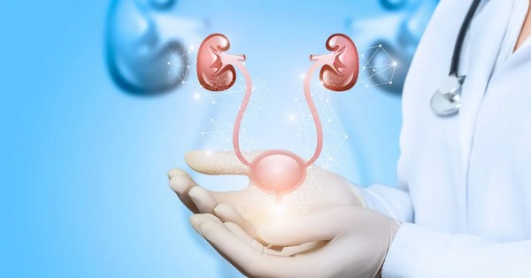 Ismerje meg a gyulladás hatásait és a megoldásokat! Kezelés, megelőzés, Kegel-gyakorlatok és diszkrét inkontinencia termékek.
